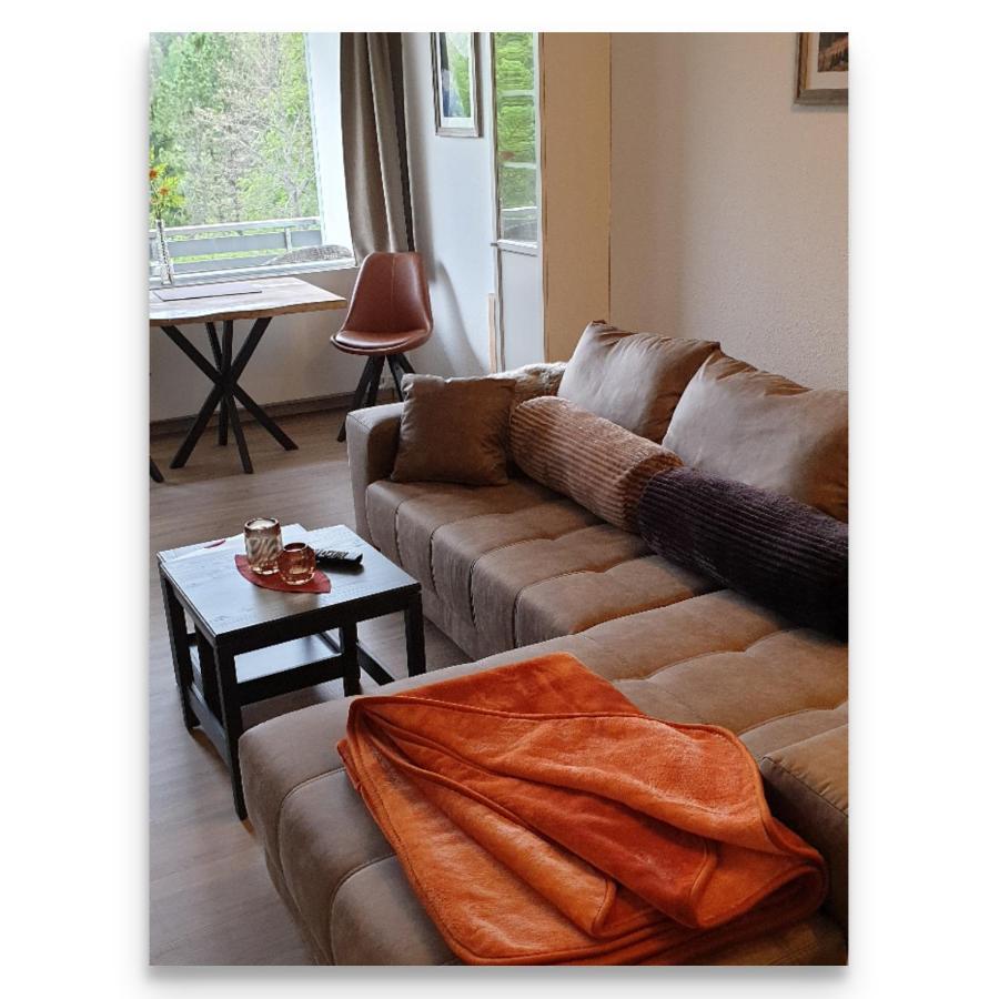 Appartement Harz Zeit Altenau (Lower-Saxony)